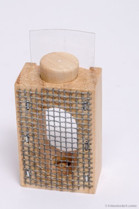 Zander-Schlüpfkäfig aus Holz mit Korken
