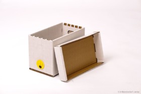 Transport- und Ableger-Box